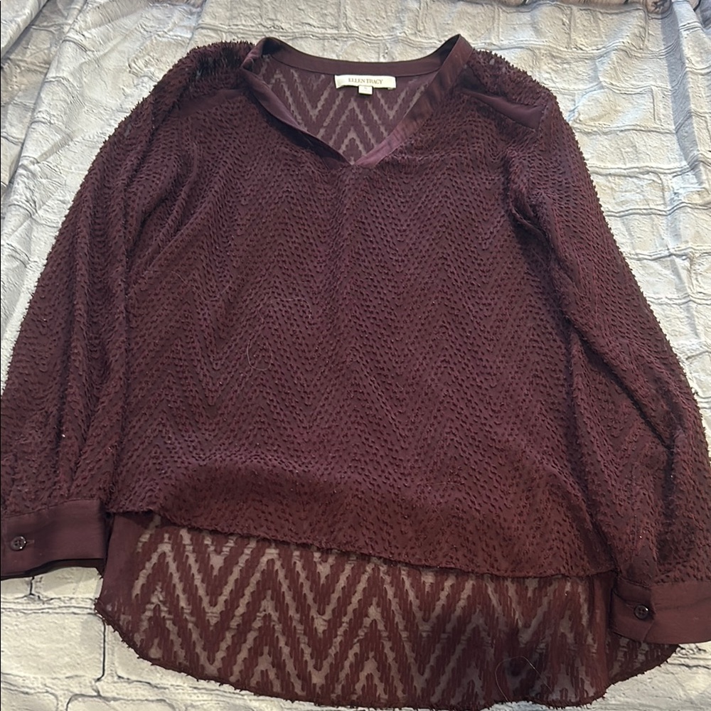 Sheer Burgundy Blouse